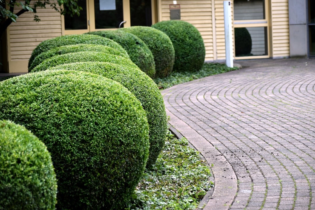 Front yard pavers for the entrance of a home